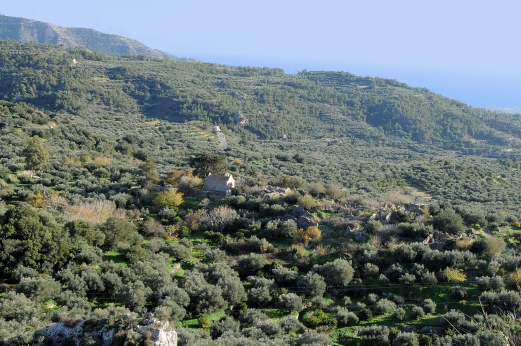 Mala Villa Malles Exteriér fotografie