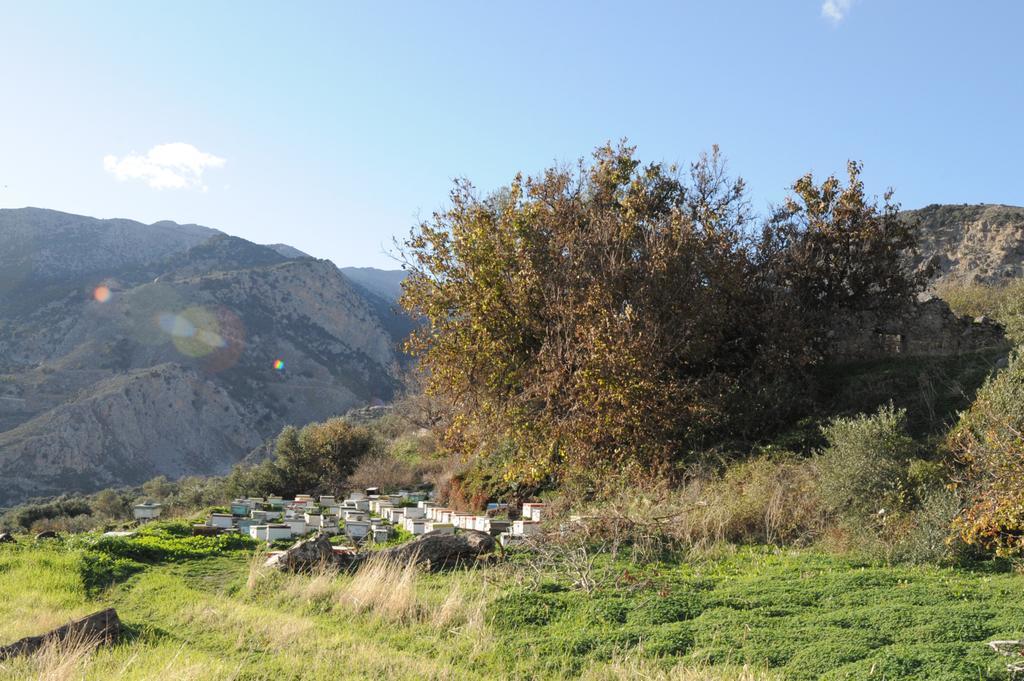 Mala Villa Malles Exteriér fotografie